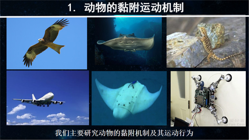 7c8a05619b59f3f3b4c7b7305ebe019a.jpg 7c8a05619b59f3f3b4c7b7305ebe019a.jpg