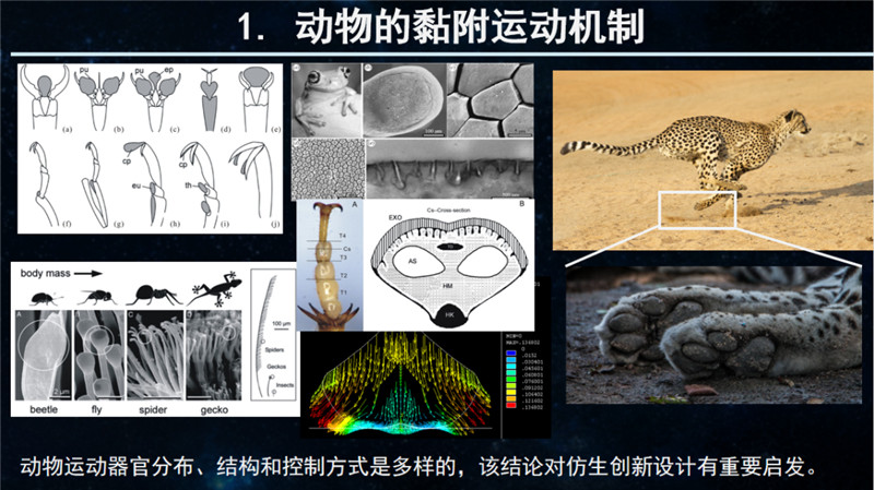 5326ecd18848520c0227fd4337dc2b62.jpg 5326ecd18848520c0227fd4337dc2b62.jpg