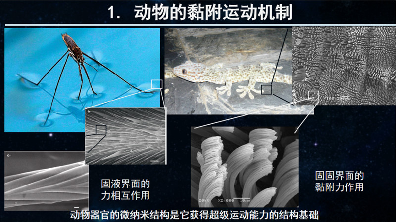 f58fdd0ae136f84370d4bf85cd12e87c.jpg f58fdd0ae136f84370d4bf85cd12e87c.jpg