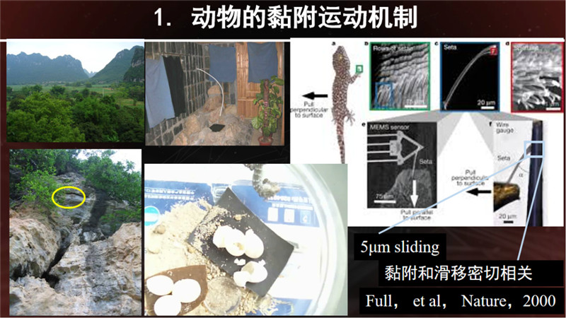 8b9ef243ae436c956d31e8aa70db3c5d.jpg 8b9ef243ae436c956d31e8aa70db3c5d.jpg