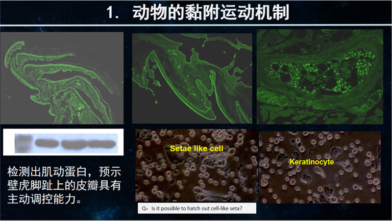 455f676136f2030f116bcc173c18396a.jpg 455f676136f2030f116bcc173c18396a.jpg