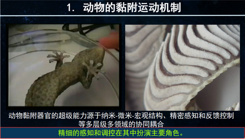 015e9c7a60b0c5a540806d0778f569bf.jpg 015e9c7a60b0c5a540806d0778f569bf.jpg