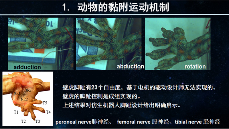 215e520c683cfd761b161a27d3a7dc43.jpg 215e520c683cfd761b161a27d3a7dc43.jpg