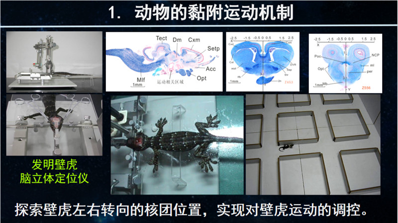 8a8911627e7383074761ee1042e2e71c.jpg 8a8911627e7383074761ee1042e2e71c.jpg