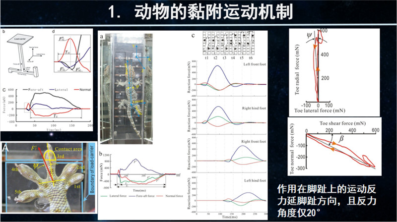 947ab21e8b1caeb42423649dfd1d0a5e.jpg 947ab21e8b1caeb42423649dfd1d0a5e.jpg