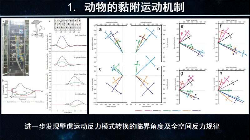 83de2c86f4ffb6347ee2b6661497fd23.jpg 83de2c86f4ffb6347ee2b6661497fd23.jpg