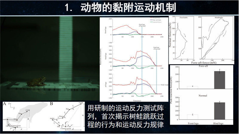 fc1008d8be65fb8134a01b373cb14cb9.jpg fc1008d8be65fb8134a01b373cb14cb9.jpg