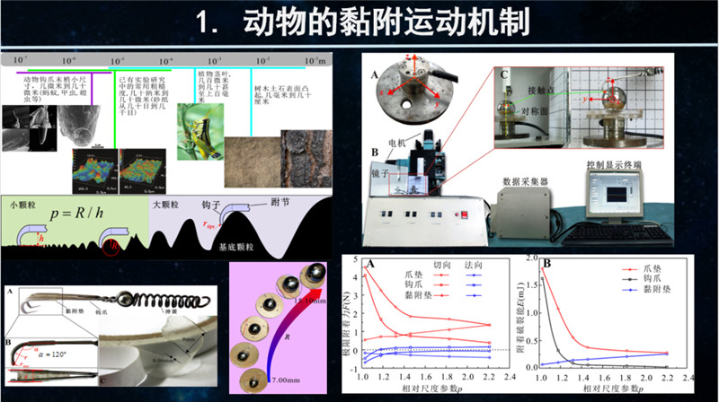 c86174b8815759c9261b790f6e38185d.jpg c86174b8815759c9261b790f6e38185d.jpg