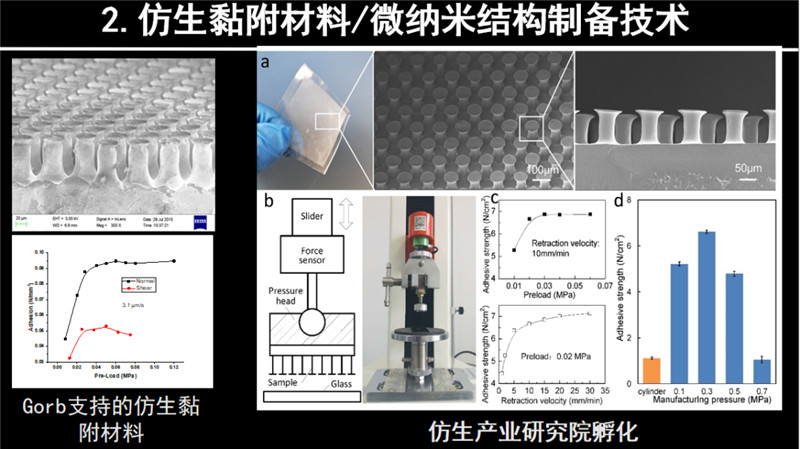 ab8b01767f2e8cfa9a199d4ae2b05b5f.jpg ab8b01767f2e8cfa9a199d4ae2b05b5f.jpg